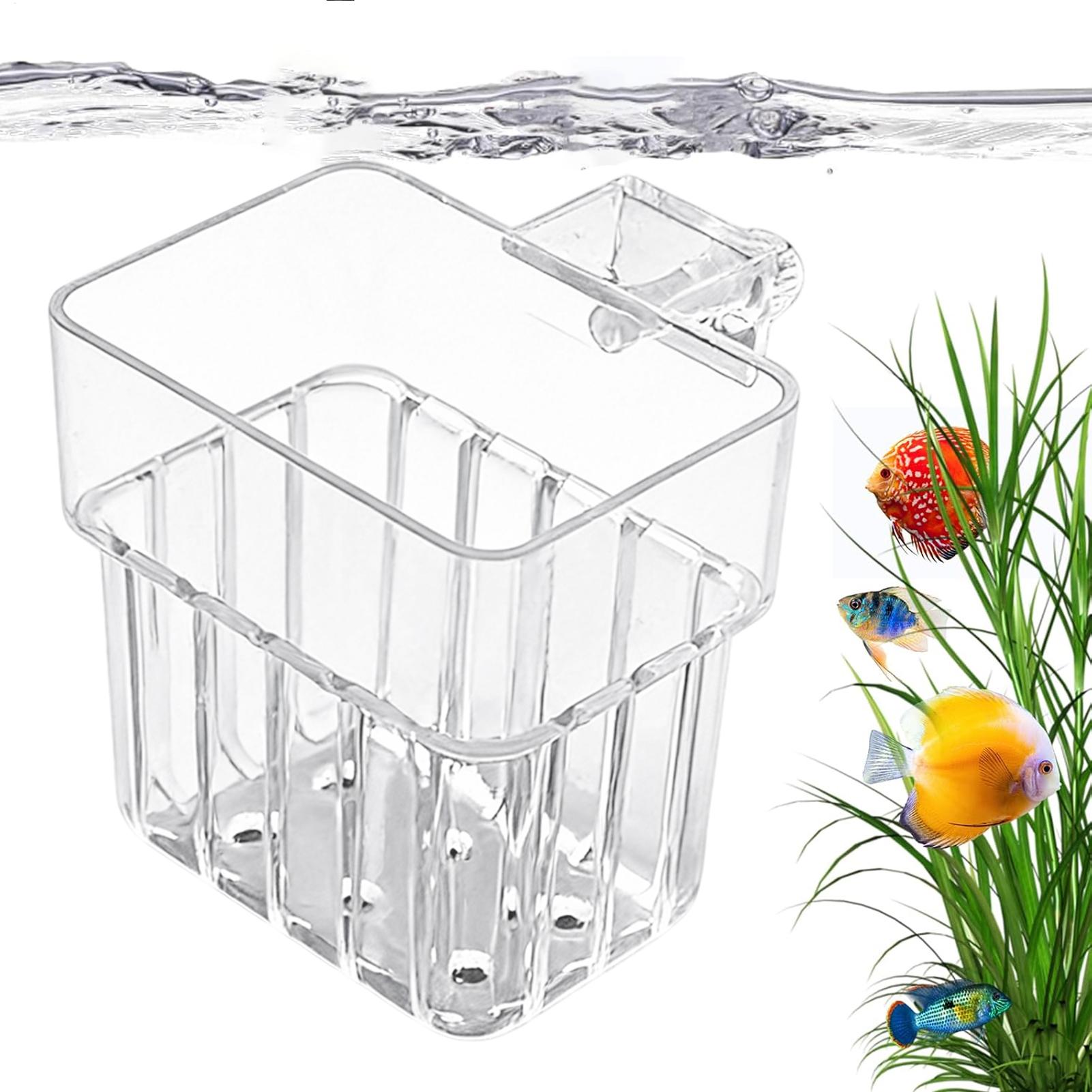 Aquarium Plants Live - Vaso Trasparente Appendibile per Piante Acquatiche,