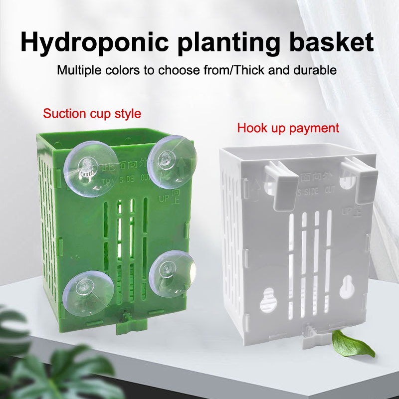 Aquarium Plant Holder - Gancio a ventosa sospeso Porta piante