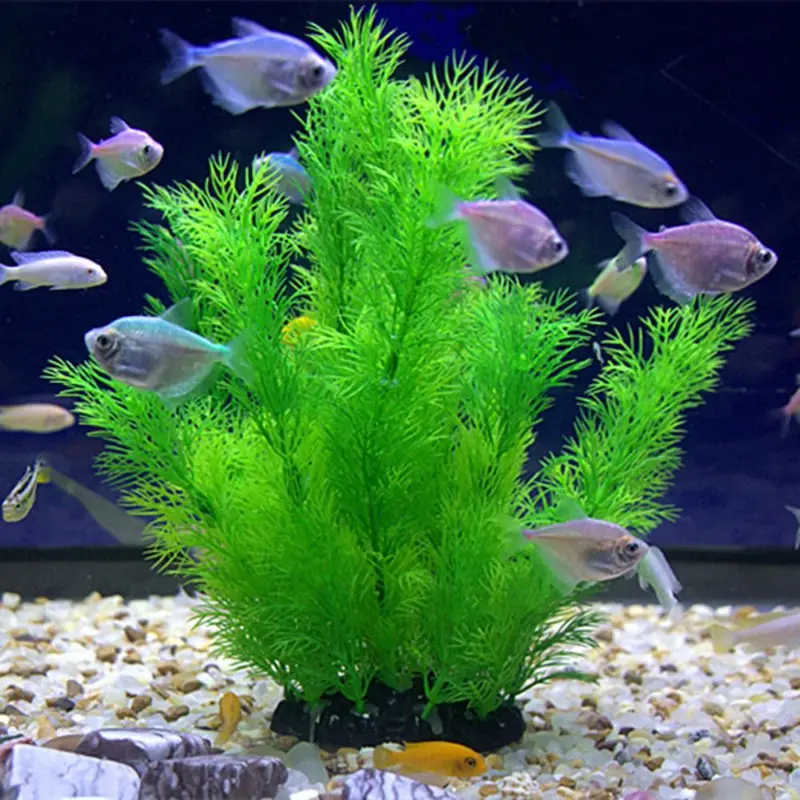 Aquarium Plants Live - Piante artificiali per decorazioni per acquari
