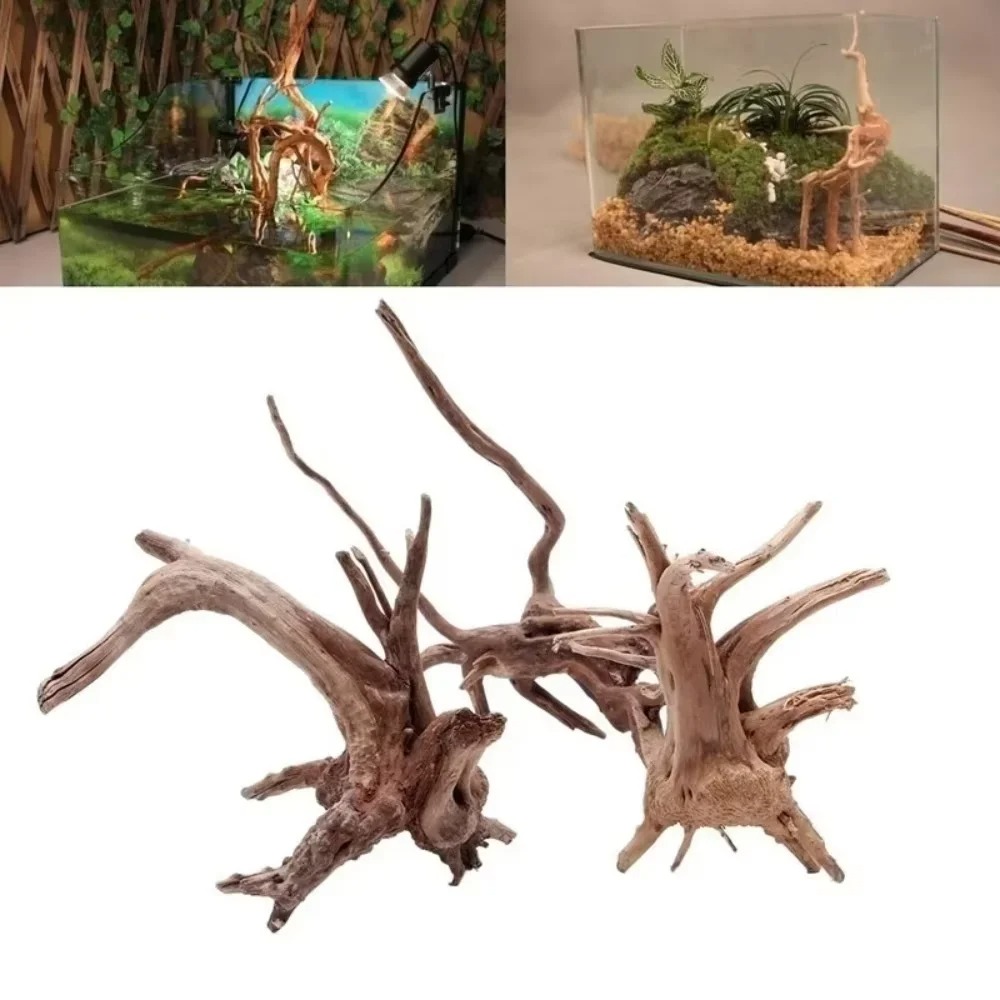 Aquarium Plant Substrate - Legno Naturale per Acquario 15-20CM -