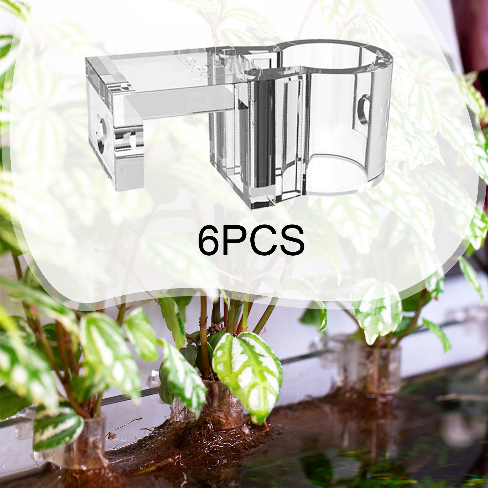 Plant Aquarium Pot - 6 Pezzi Supporti per Piante da