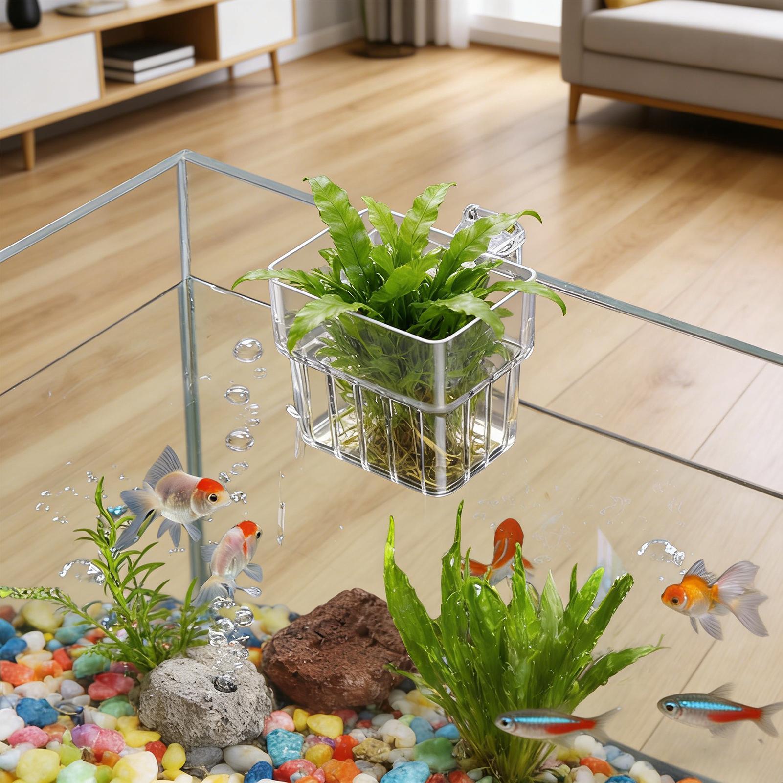 Aquarium Plants Live - Cestello fisso per acquario, cestini pensili