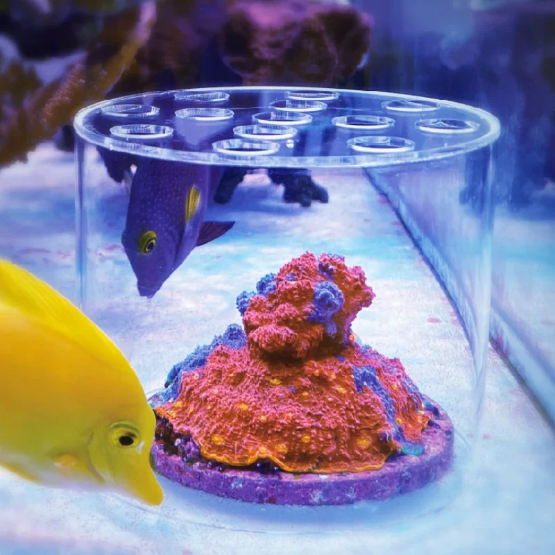 Aquarium Fertilizer - Vastocean Acquario Acrilico Corallo Cappa Alimentatore