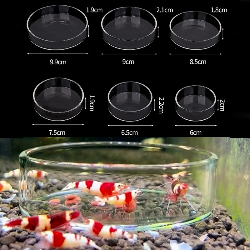 Aquarium Fertilizer - Piatto di alimentazione per gamberetti Piatto