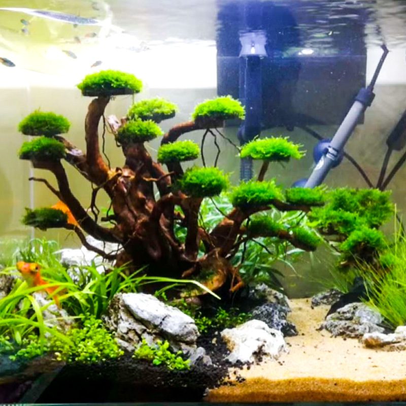 Aquarium Plant Substrate - Decorazione per Acquario: Albero di Muschio,