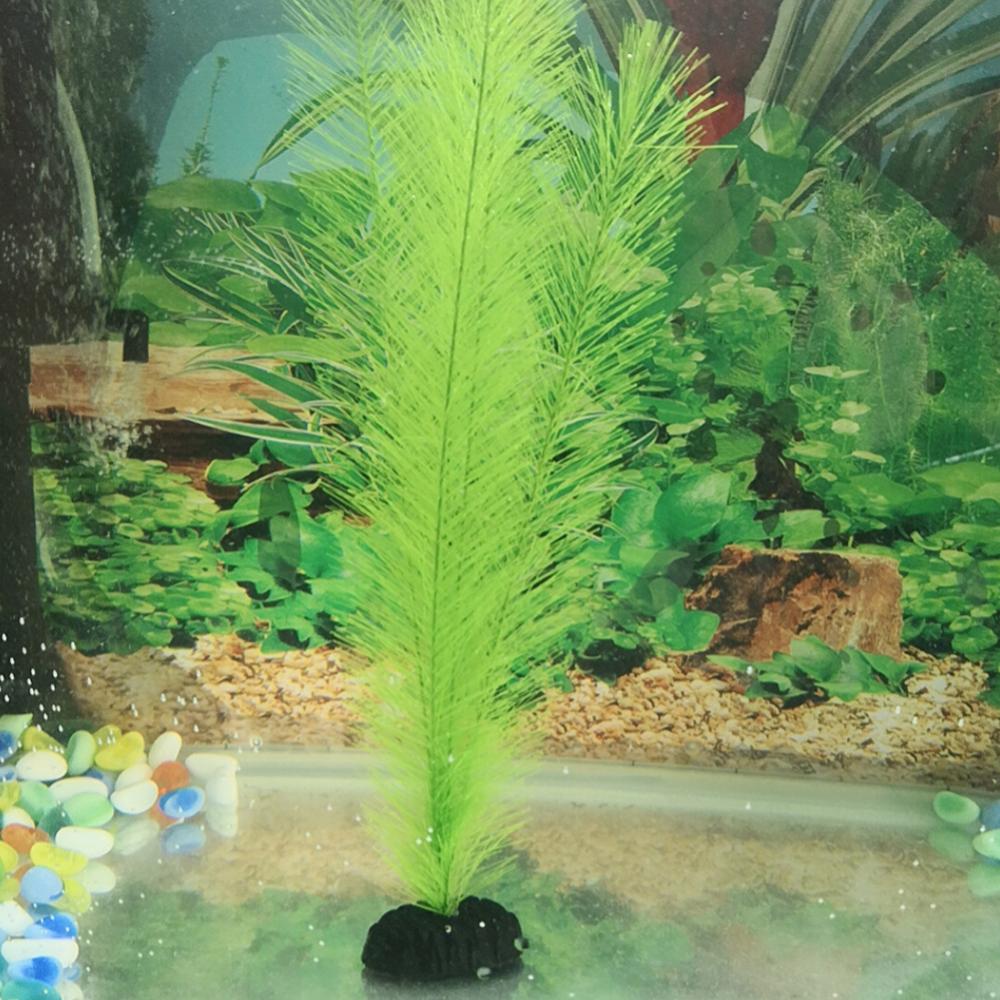 1/3 Pz 28/40 cm Acquario Serba - Live Plant Aquarium recensione e prezzo
