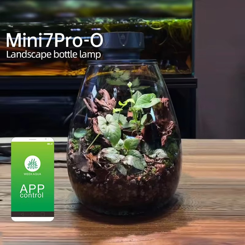 COB Microlandscape Pianta Luce - Planted Tank recensione e prezzo