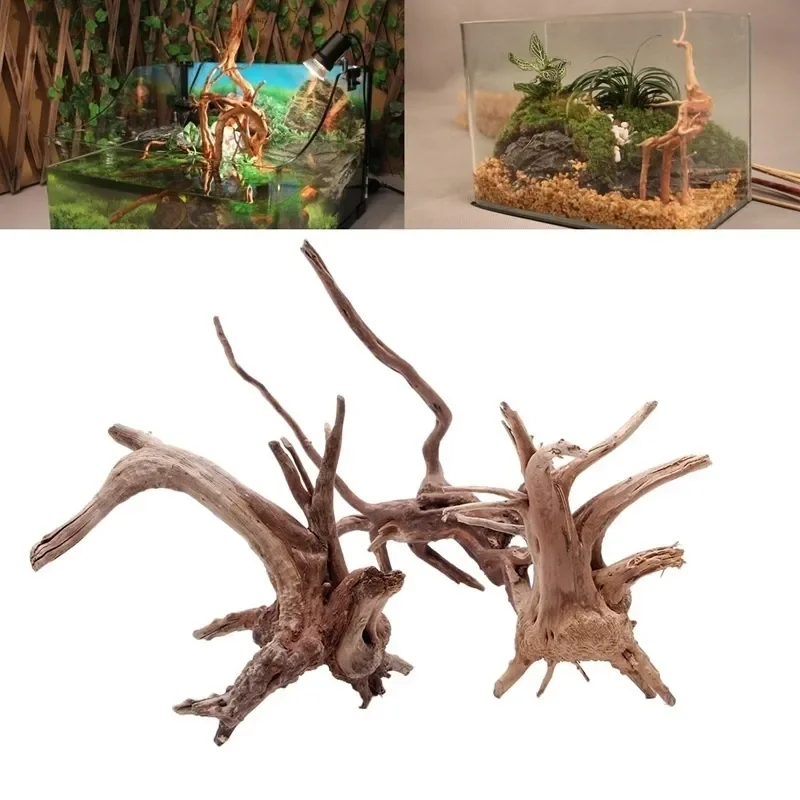 Tronco d'albero naturale Drift - Live Plant Aquarium recensione e prezzo