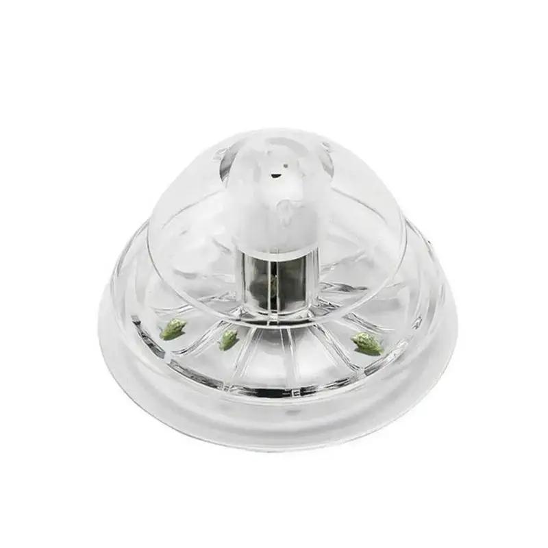 Nuova Trappola per Lumache in  - Planted Aquarium Cleaning recensione e prezzo