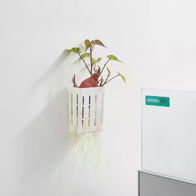 1 Pezzo Cestino di Supporto Id - Plant Aquarium Pot recensione e prezzo