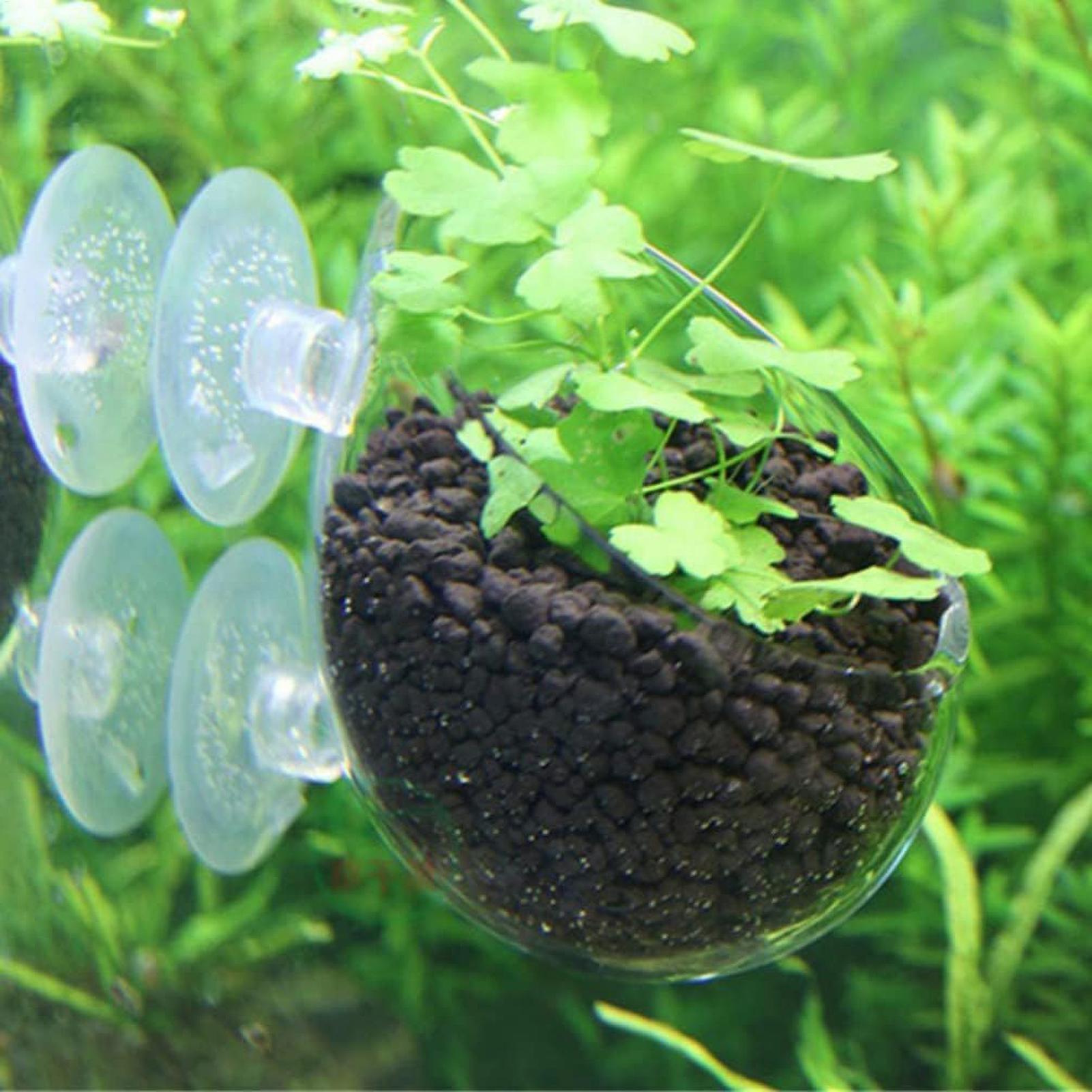 Supporto per Piante Acquatiche - Live Plant Aquarium recensione e prezzo