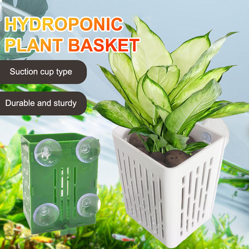 Gancio a ventosa sospeso Porta - Aquarium Plant Holder recensione e prezzo