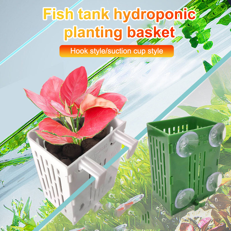Gancio a ventosa sospeso Porta - Aquarium Plant Holder recensione e prezzo