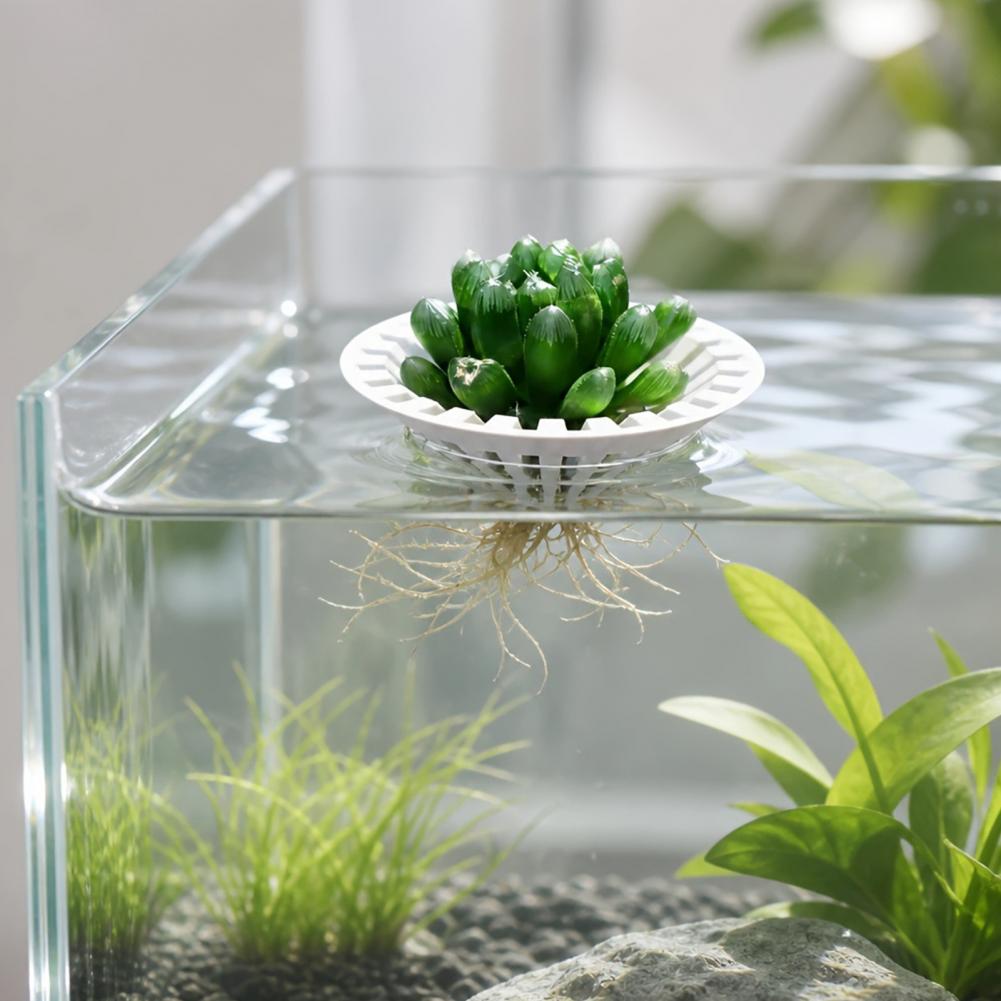 Vaso idroponico per acquario,  - Aquarium Plant Holder recensione e prezzo
