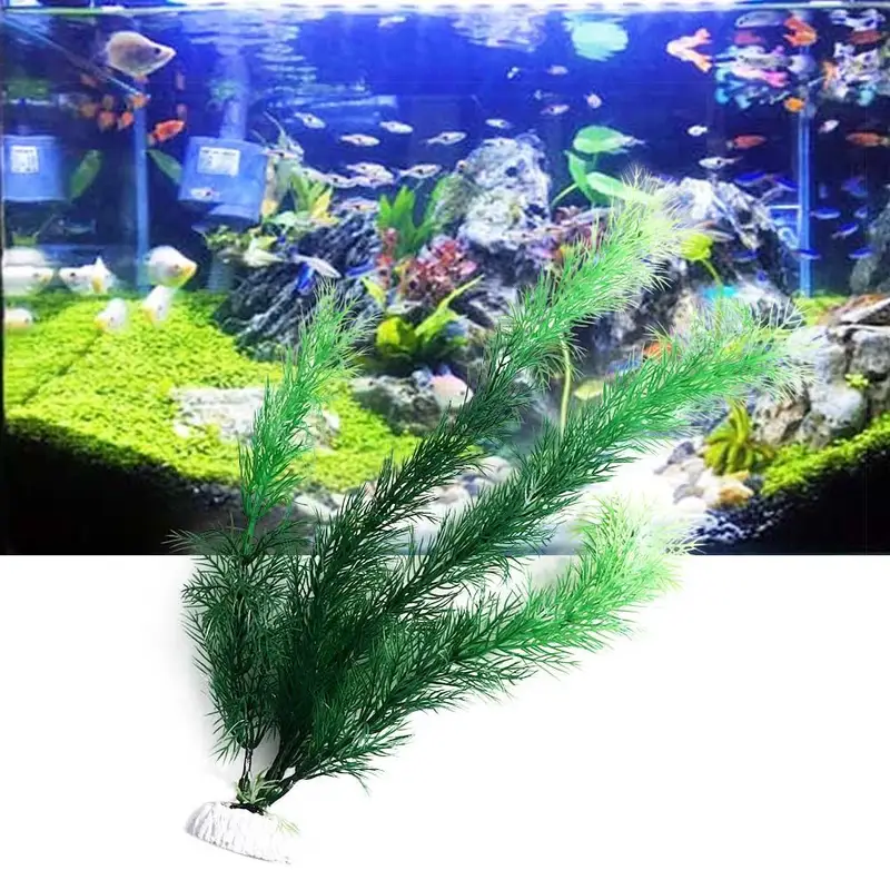 Piante artificiali per decoraz - Aquarium Plants Live recensione e prezzo