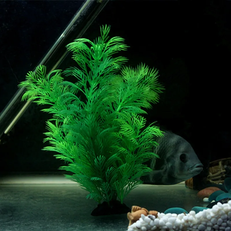 Piante artificiali per decoraz - Aquarium Plants Live recensione e prezzo