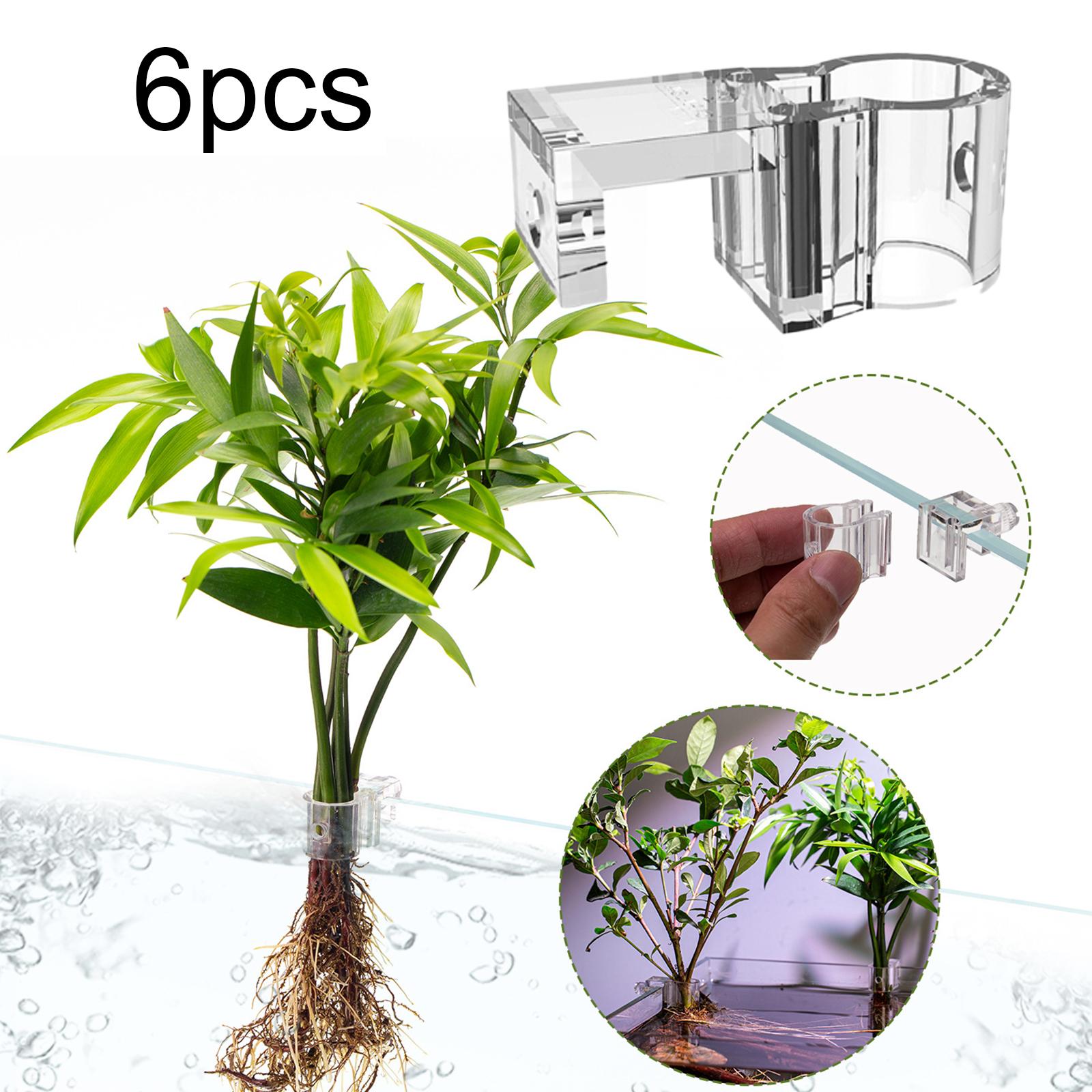 6 Pezzi Supporti per Piante da - Plant Aquarium Pot recensione e prezzo