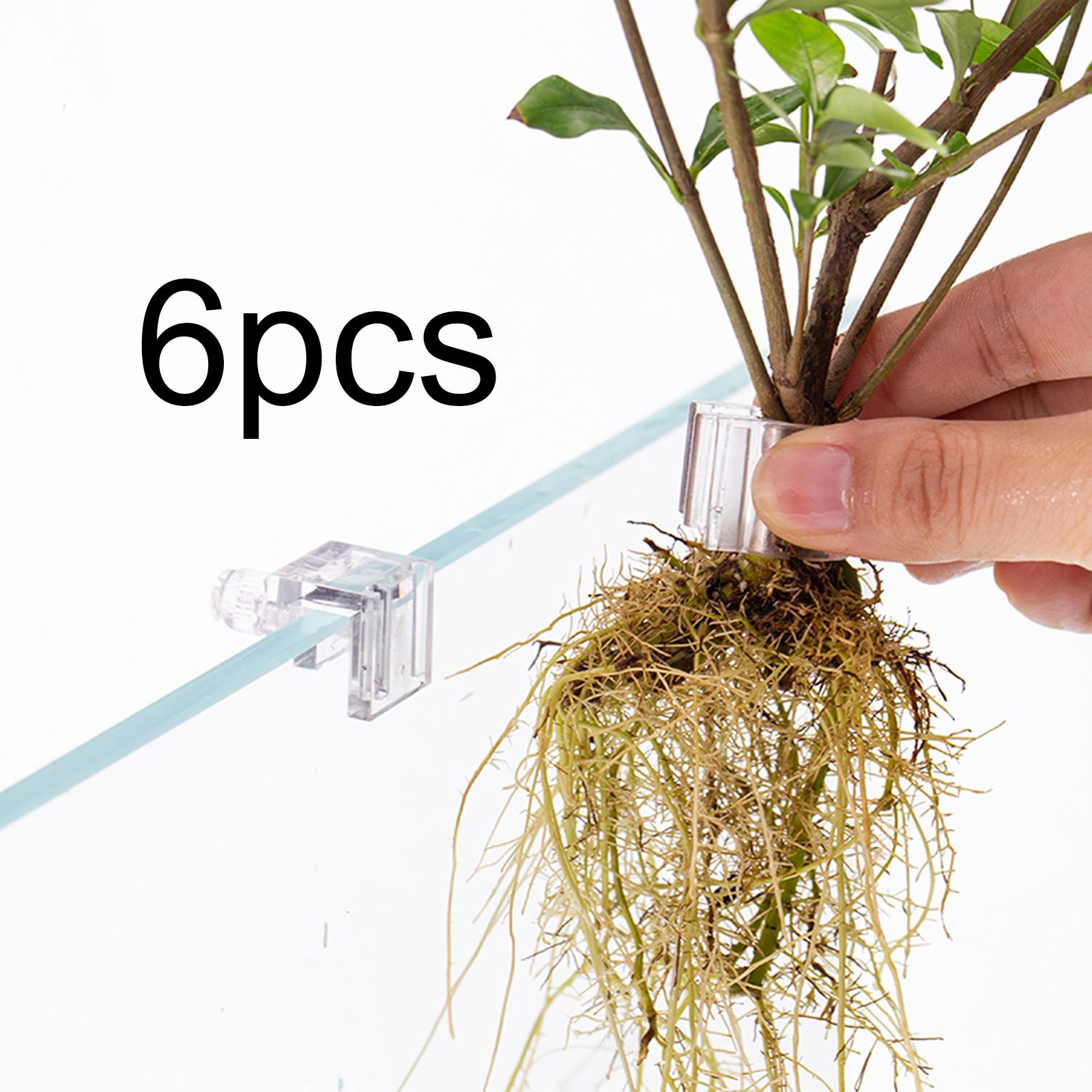 6 Pezzi Supporti per Piante da - Plant Aquarium Pot recensione e prezzo