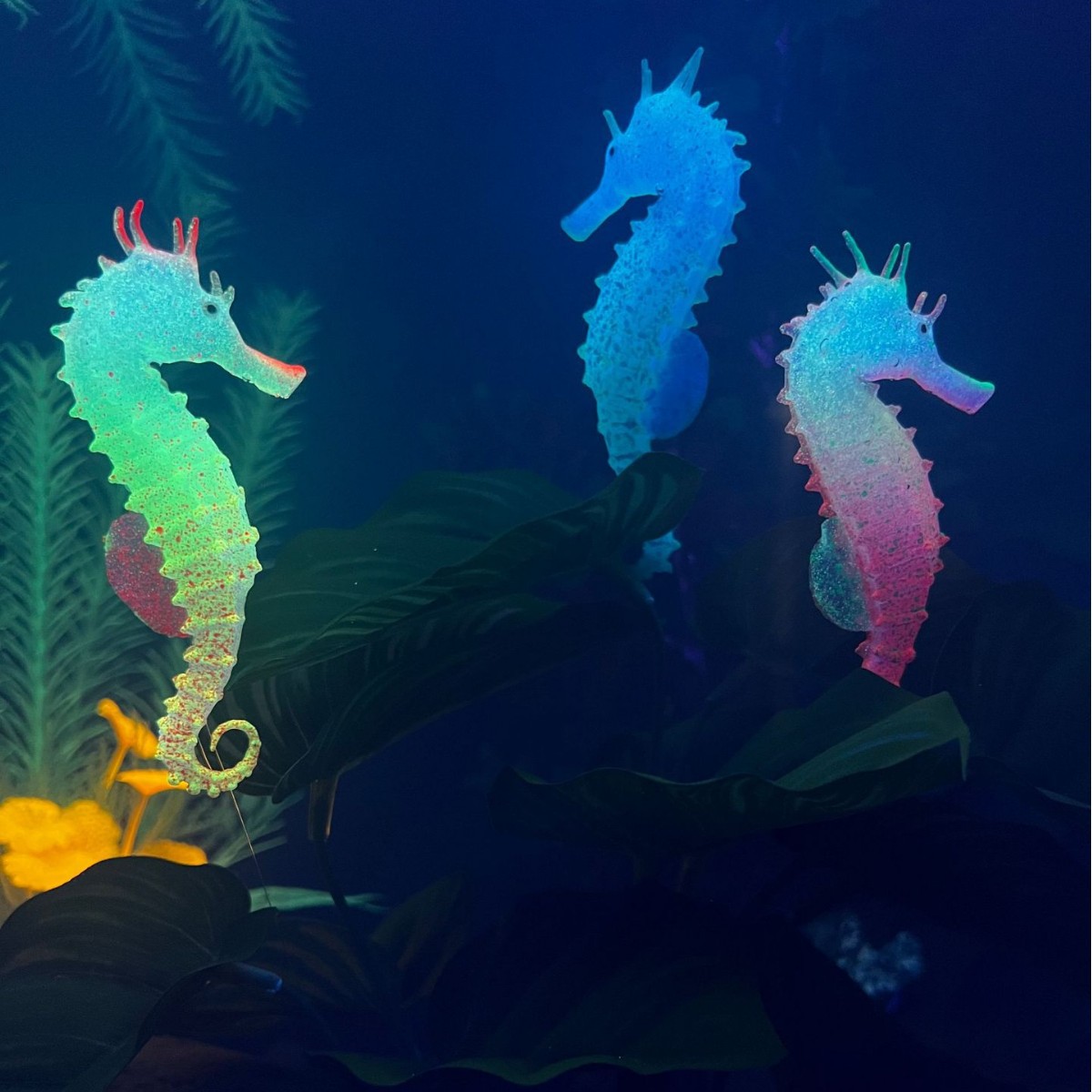 Decorazione per Acquario a For - Aquarium Plant Substrate recensione e prezzo