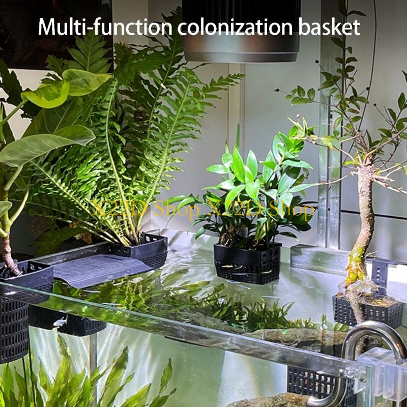 X22D Contenitore da parete in  - Aquarium Plant Holder recensione e prezzo