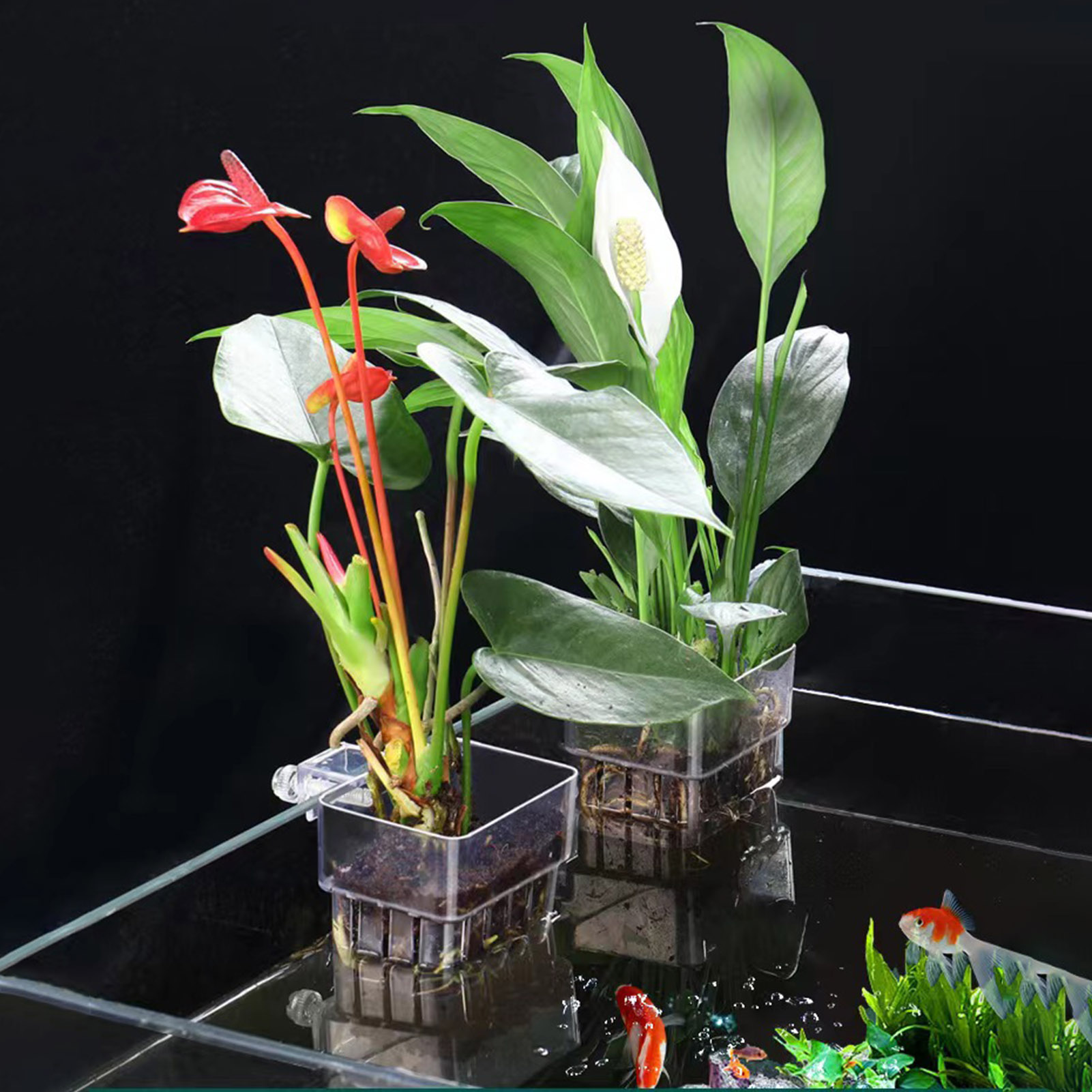 Cestello per Piante Idroponich - Aquarium Plant Holder recensione e prezzo