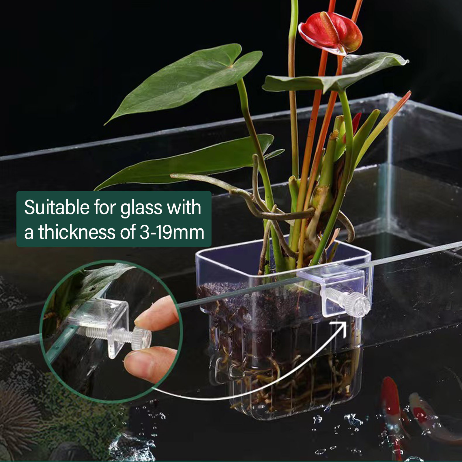 Cestello per Piante Idroponich - Aquarium Plant Holder recensione e prezzo