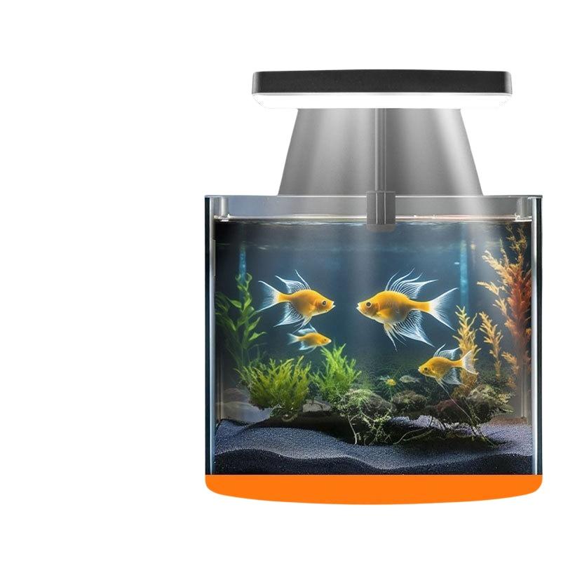 Lampada LED USB per Acquario c - Aquarium Plant Light recensione e prezzo