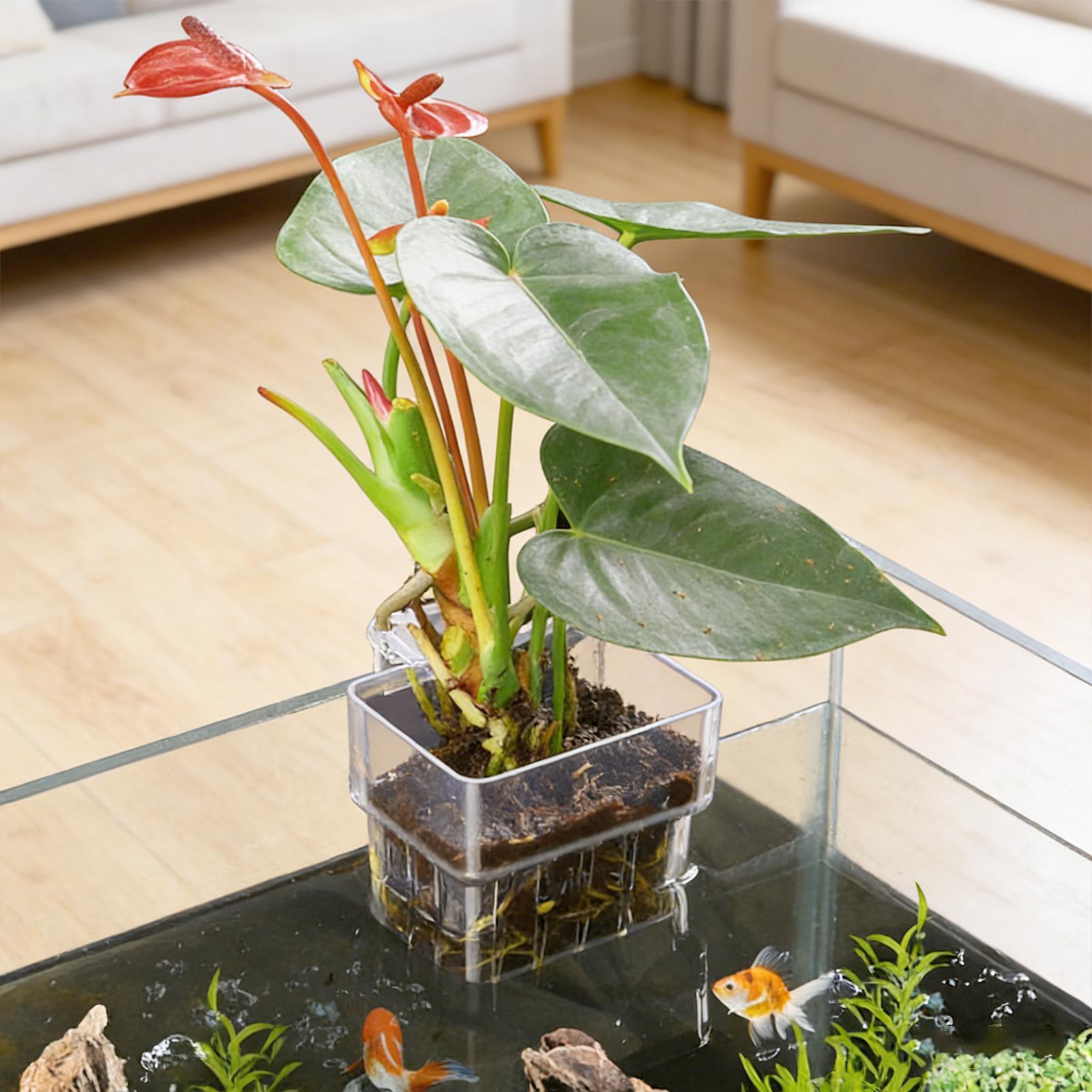 Cesto per Piante d'Acquario Tr - Plant Aquarium Pot recensione e prezzo