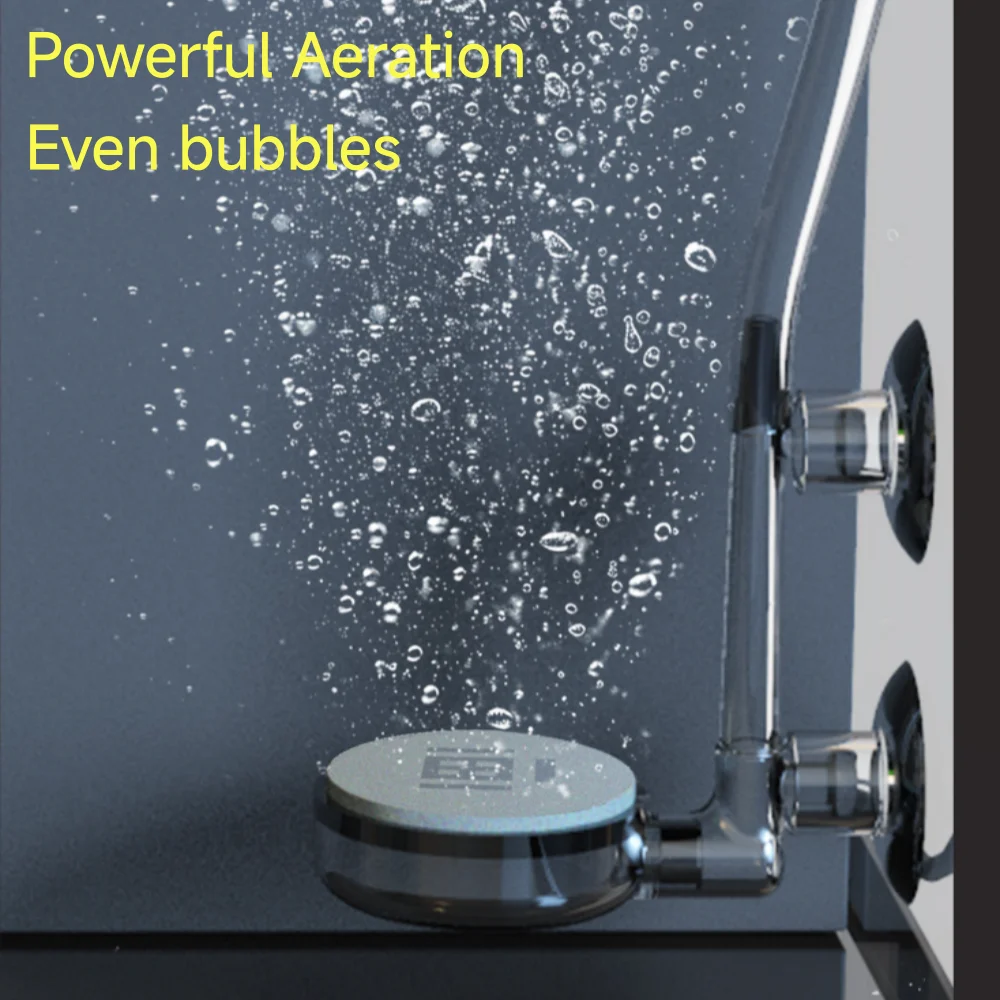 DESGEO per Pompa di Ossigeno p - Aquarium Liquid Carbon recensione e prezzo