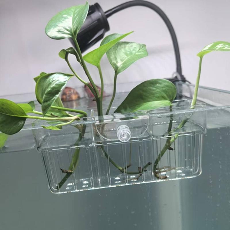 Cestino per Piante Idroponiche - Planted Tank recensione e prezzo