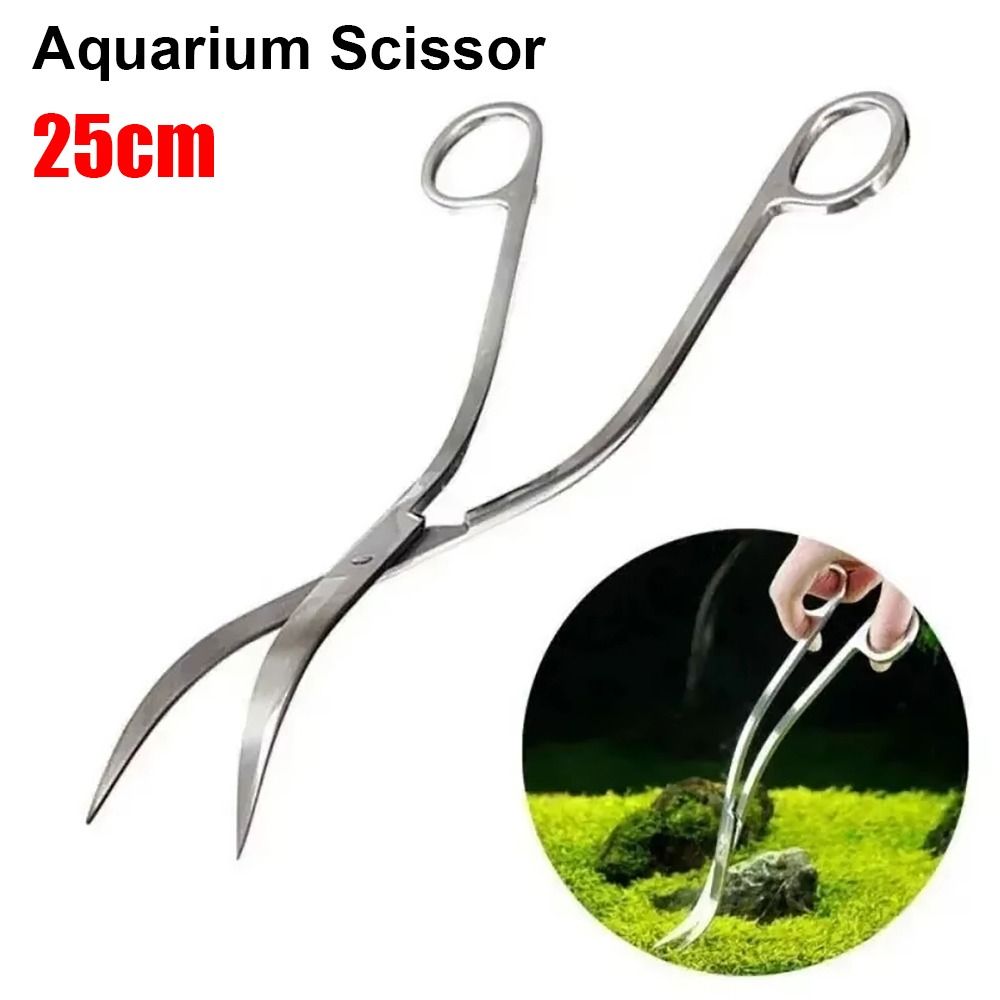 Forbici per Acquario in Acciai - Planted Aquarium Cleaning recensione e prezzo