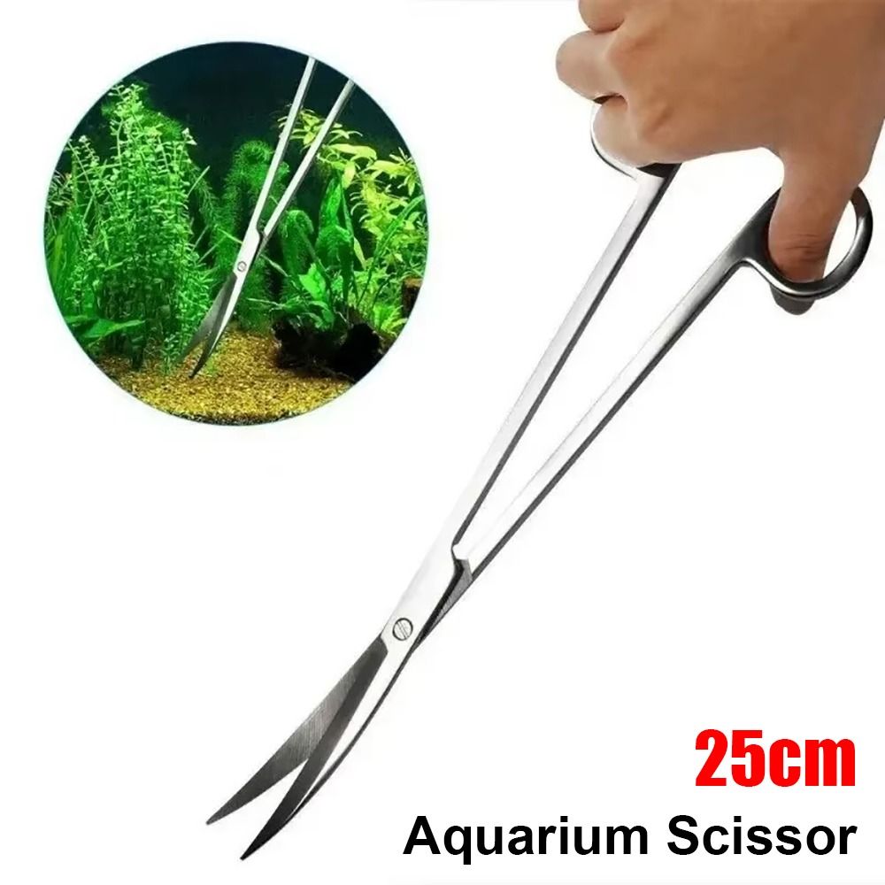 Forbici per Acquario in Acciai - Planted Aquarium Cleaning recensione e prezzo