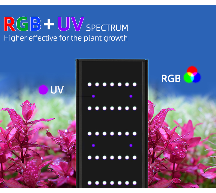 WEEK AQUA Serie L Controllo AP - Aquarium Plant Light recensione e prezzo