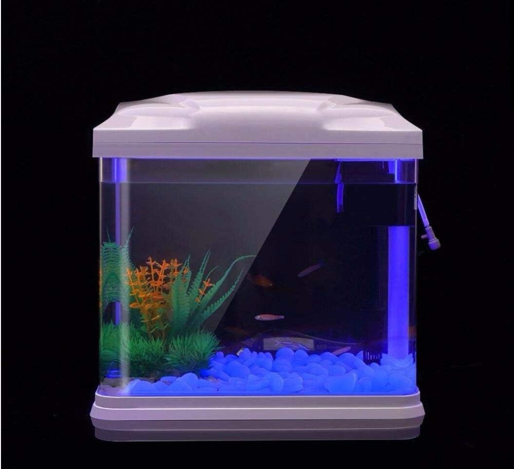 Rocce per acquari che si illum - Plant Aquarium Pot recensione e prezzo