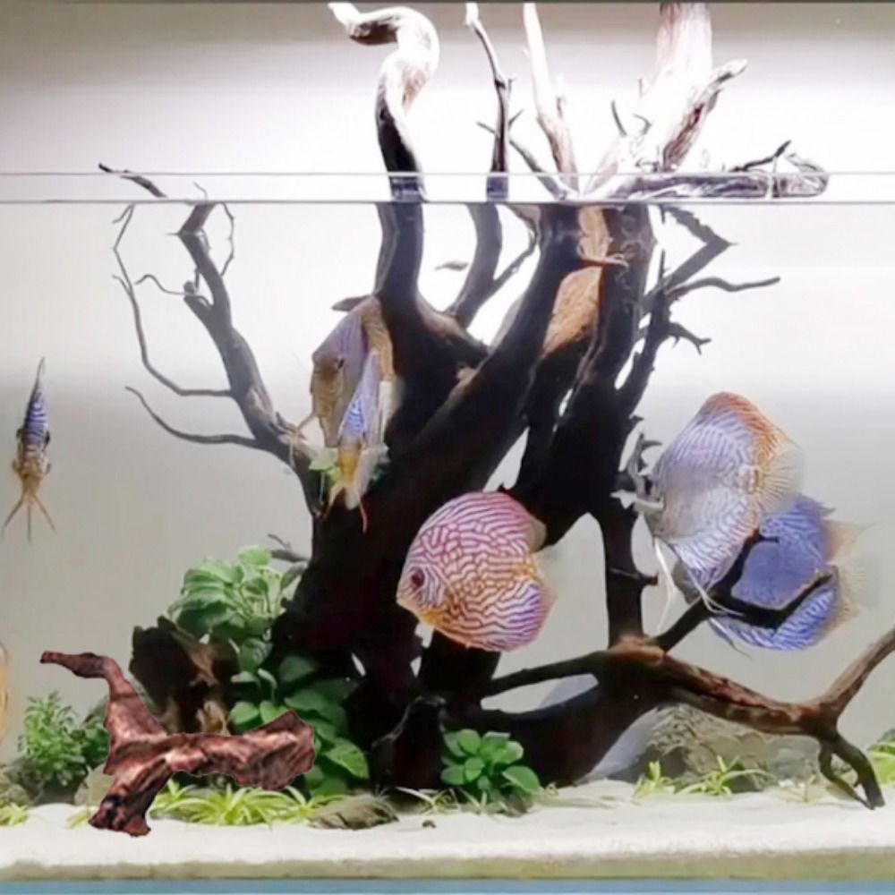 Radici di Pino Naturale a Form - Aquarium Plant Substrate recensione e prezzo