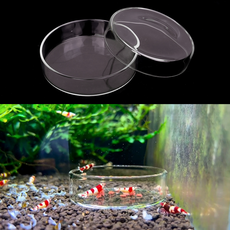 Piatto di alimentazione per ga - Aquarium Fertilizer recensione e prezzo