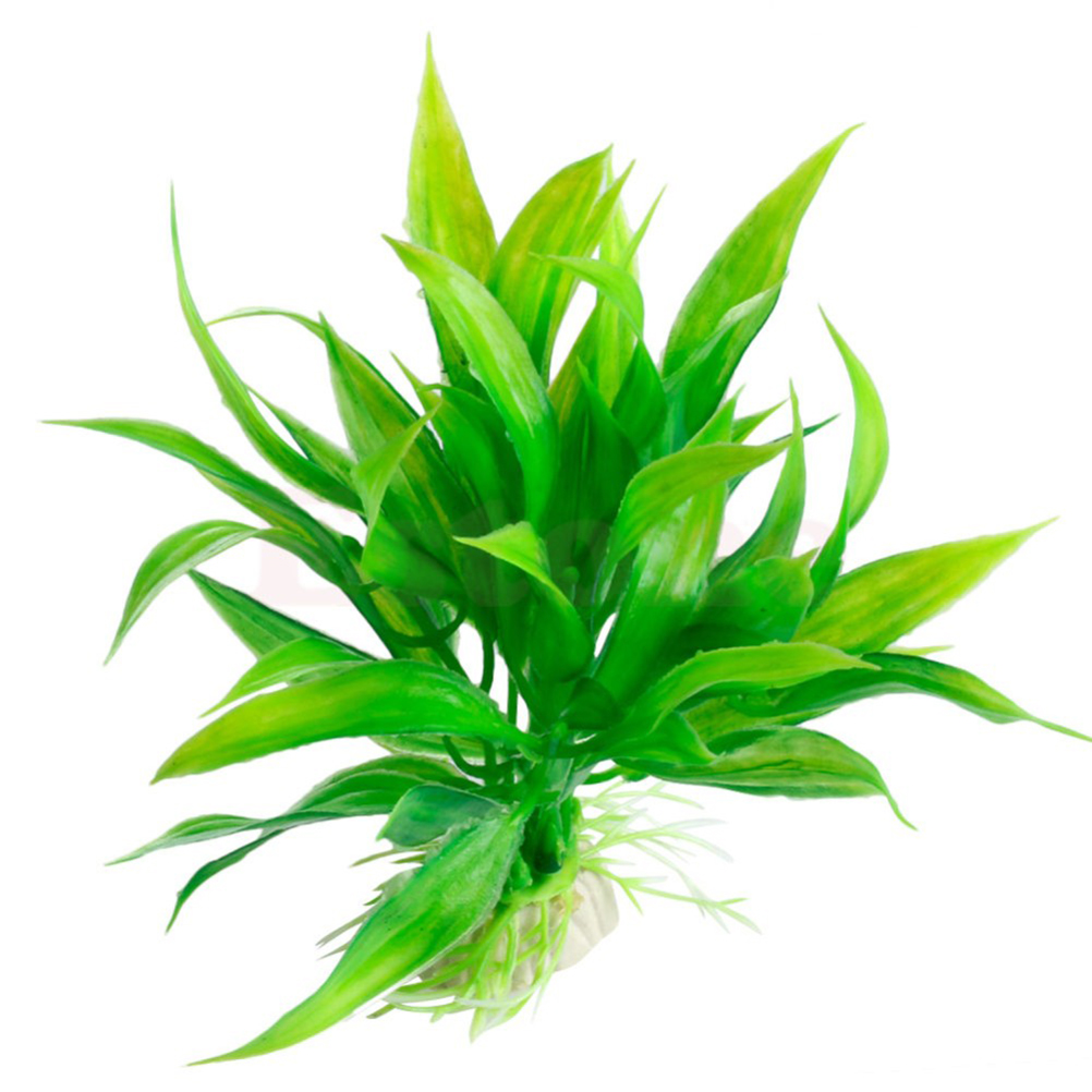 15CM/10CM ornamenti per piante - Live Plant Aquarium recensione e prezzo
