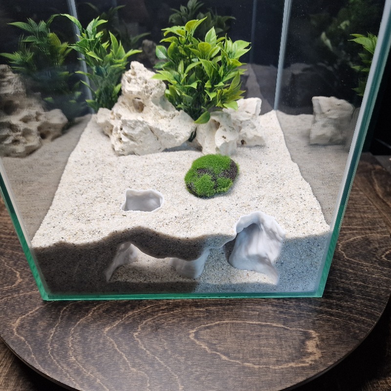 Decorazione Premium per Acquar - Aquarium Driftwood recensione e prezzo