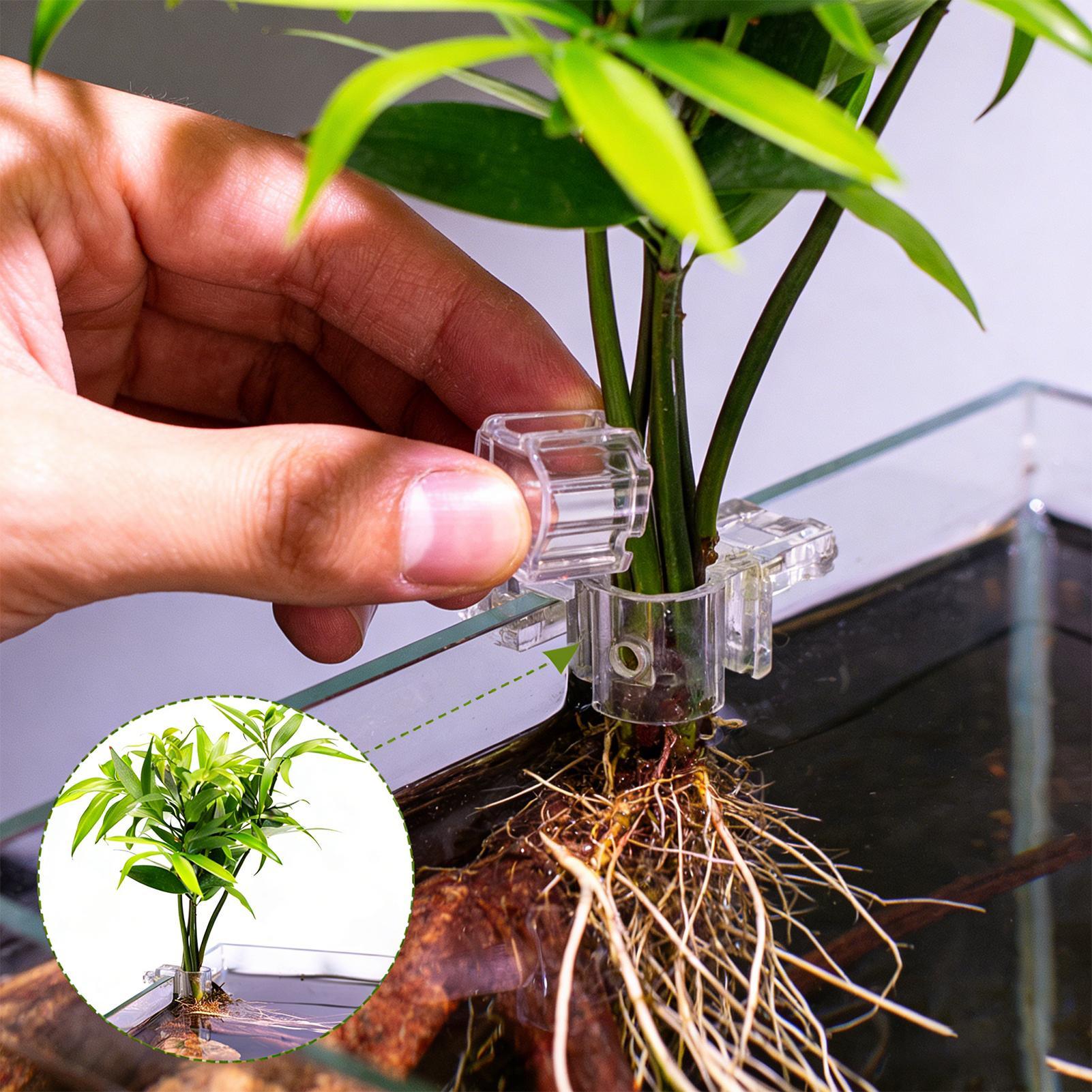 Set di 6 Supporti Trasparenti  - Aquarium Plants Live recensione e prezzo