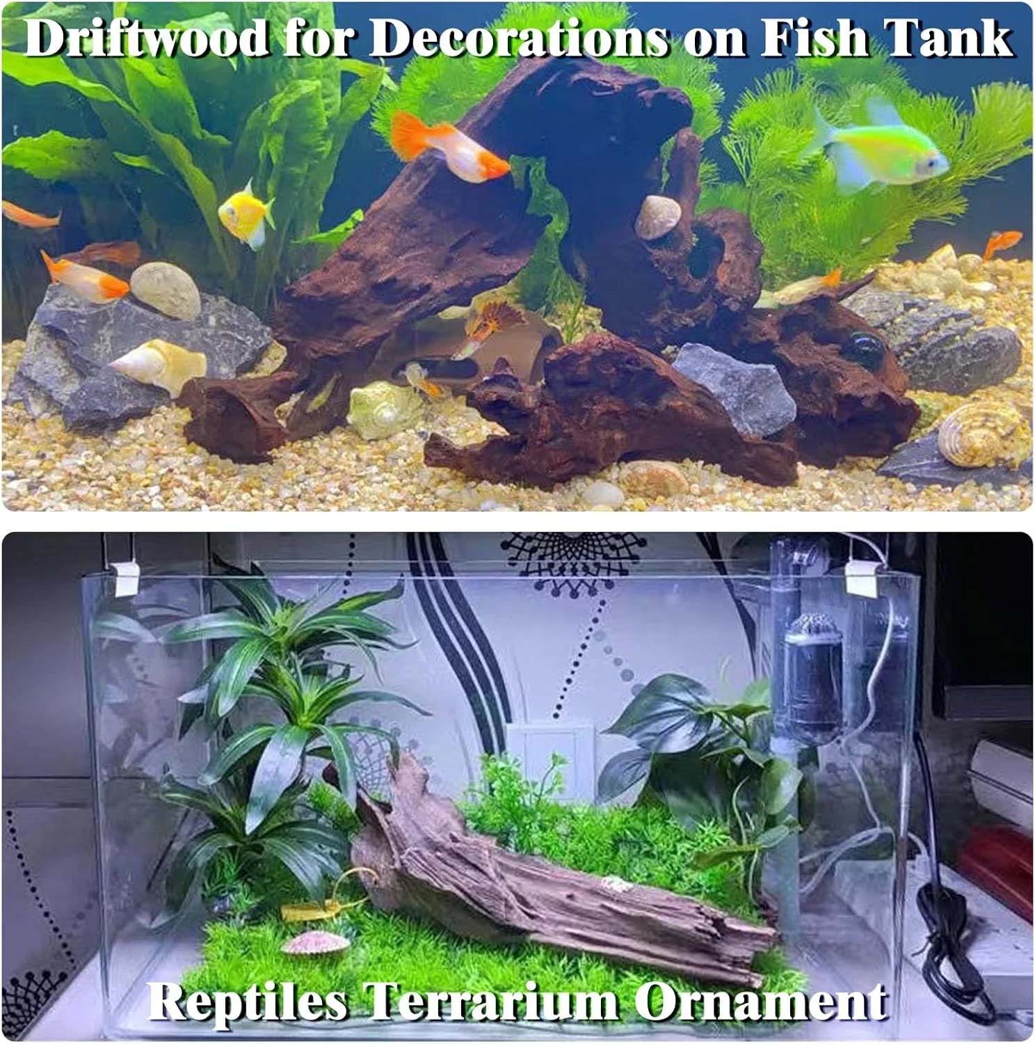 15-20CM 1Pc Legno Naturale Dec - Aquarium Plant Substrate recensione e prezzo