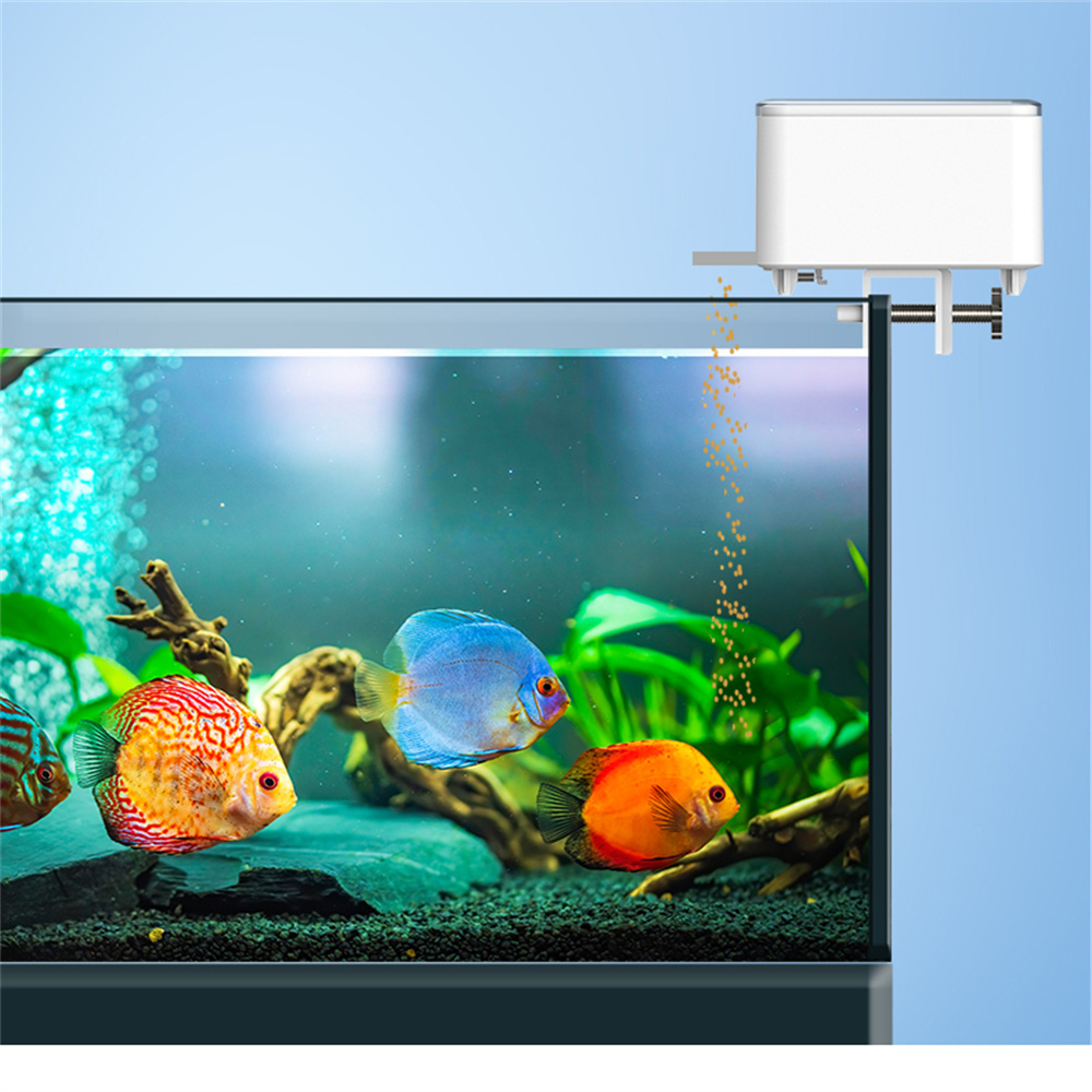 Alimentatore automatico intell - Aquarium Fertilizer recensione e prezzo