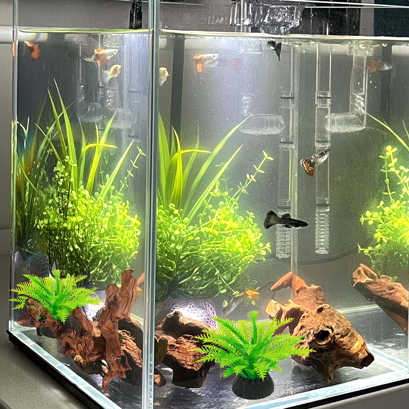Legno Naturale Affondabile da  - Aquarium Driftwood recensione e prezzo