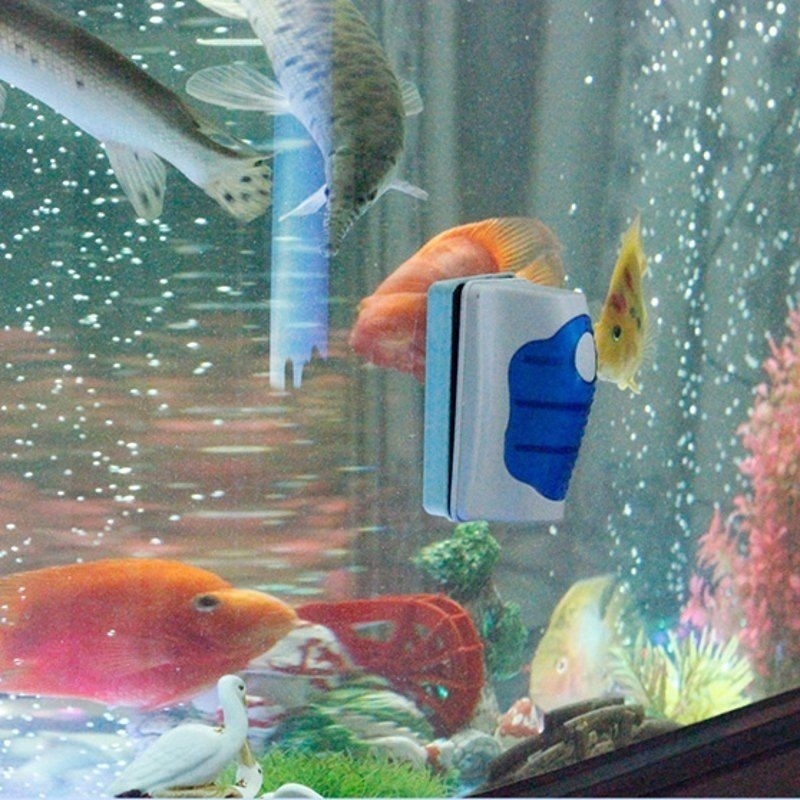 Raschietto per pulizia del vet - Planted Aquarium Cleaning recensione e prezzo