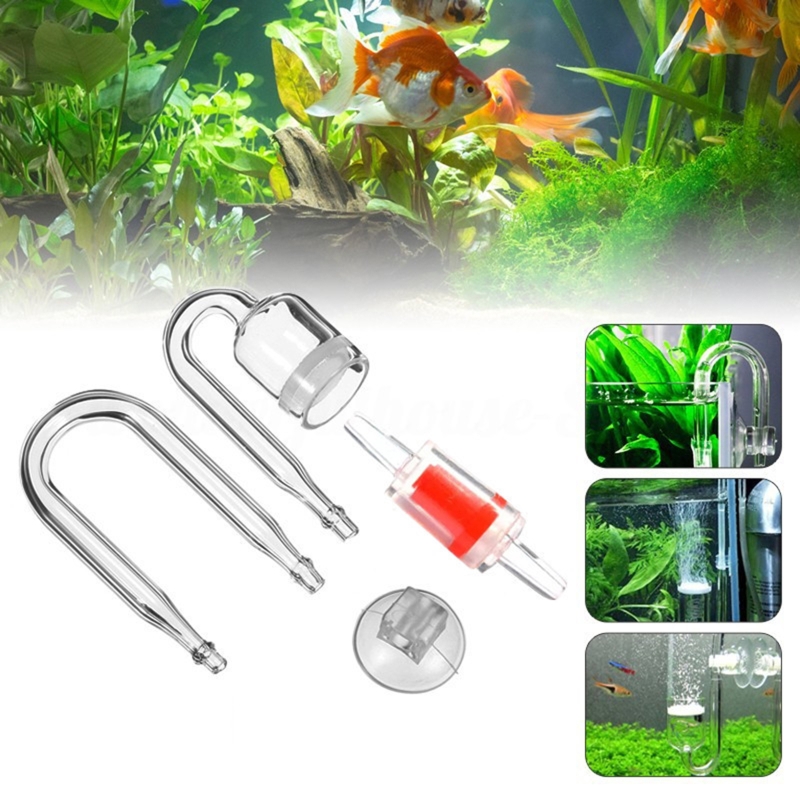 Set da 4 pezzi diffusore di CO - Live Plant Aquarium recensione e prezzo