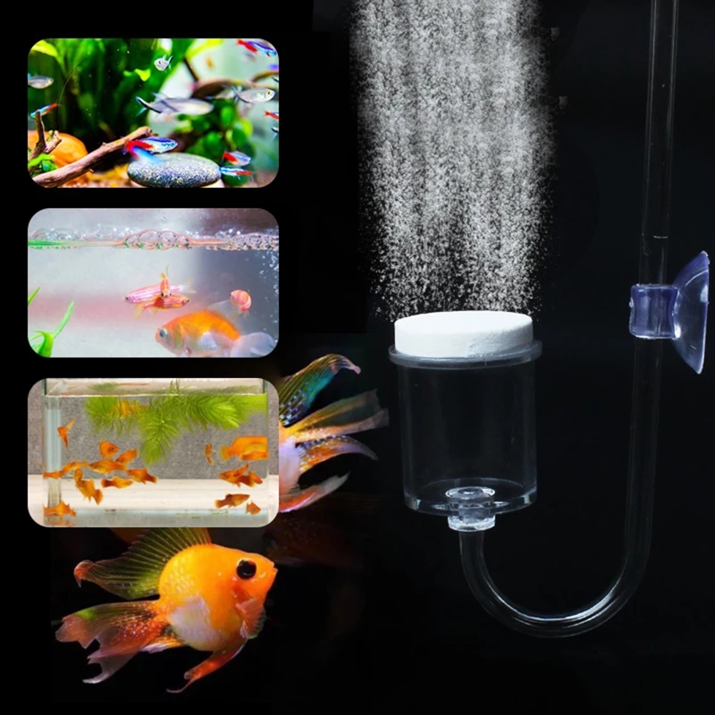Set da 4 pezzi diffusore di CO - Live Plant Aquarium recensione e prezzo