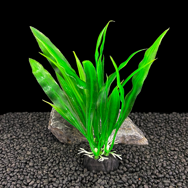 6 pezzi confezioni di piante d - Live Plant Aquarium recensione e prezzo